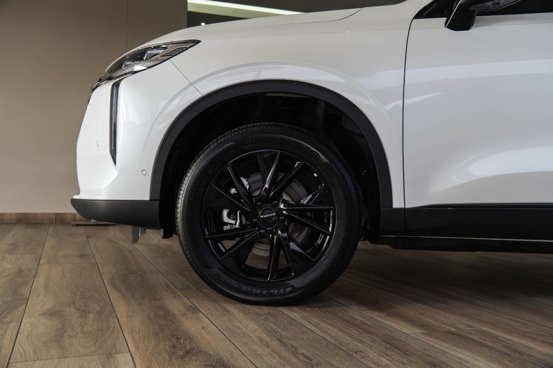 Haval H6 - GWM Haval Bruma - Image 13