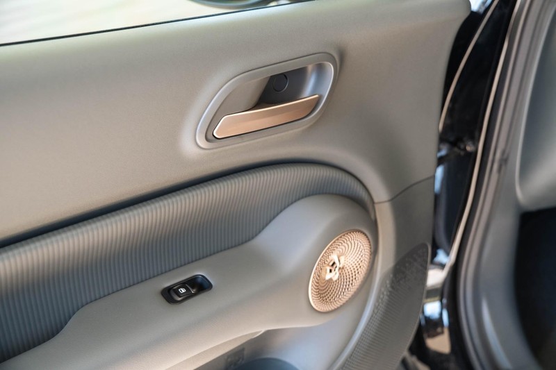 GWM ORA - GWM Haval Bruma - Image 29