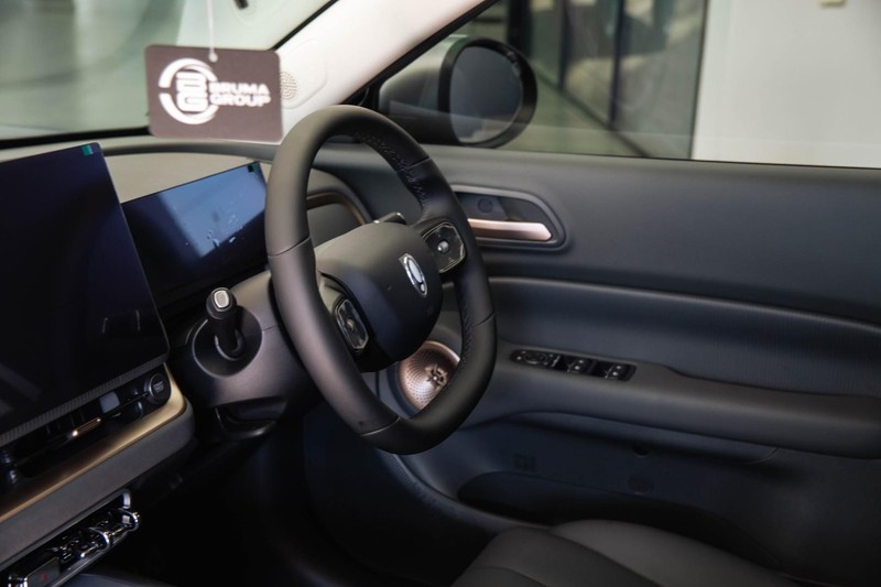 GWM ORA - GWM Haval Bruma - Image 9
