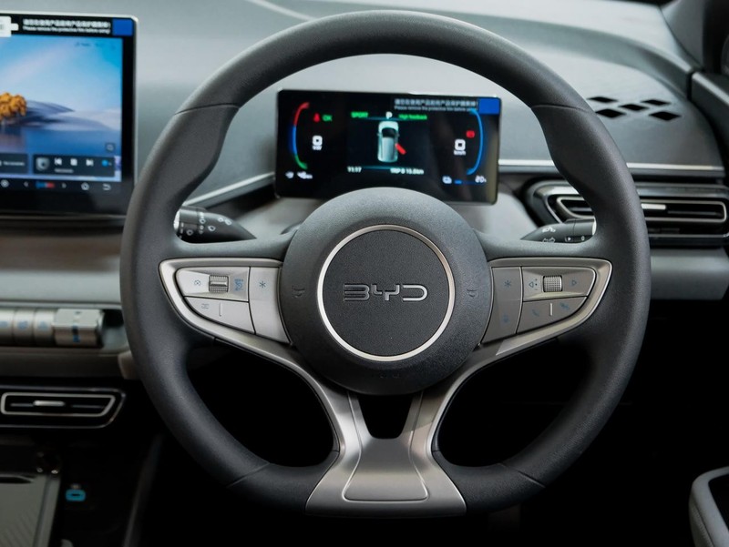BYD Dolphin Surf - BYD West Rand - Image 16