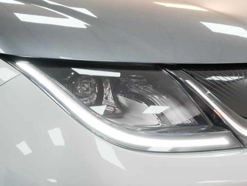 BYD Dolphin - BYD West Rand - Image 3