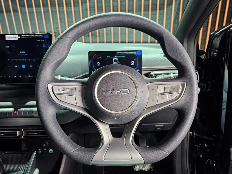 BYD Dolphin Surf - Mit Mak Motors - Image 11