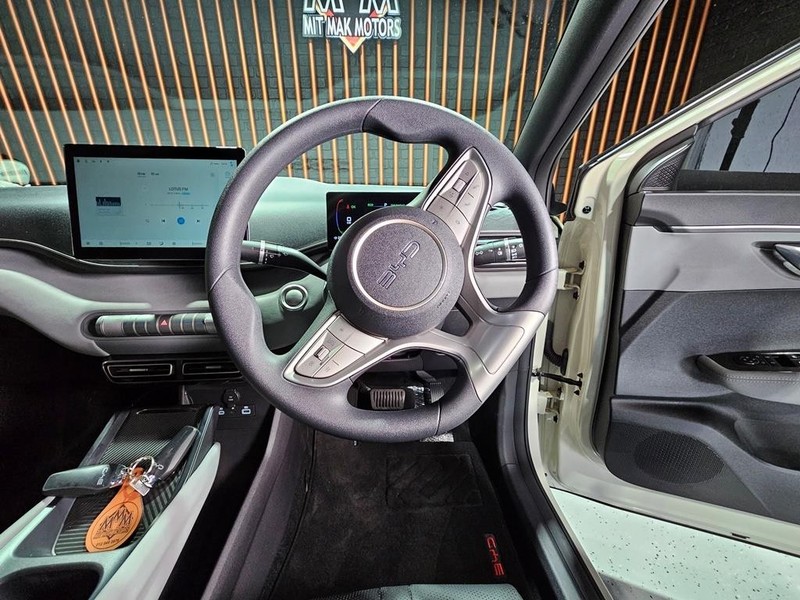 BYD Dolphin Surf - Mit Mak Motors - Image 19