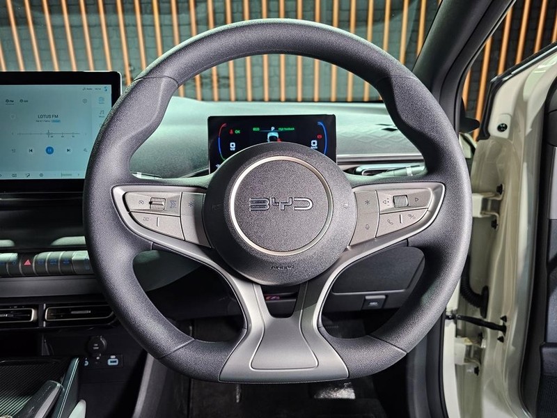 BYD Dolphin Surf - Mit Mak Motors - Image 11