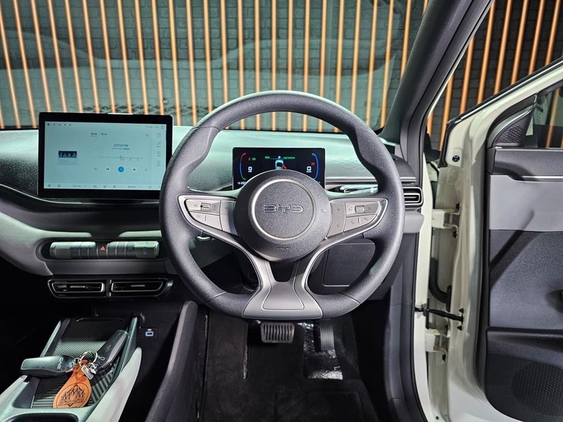 BYD Dolphin Surf - Mit Mak Motors - Image 10