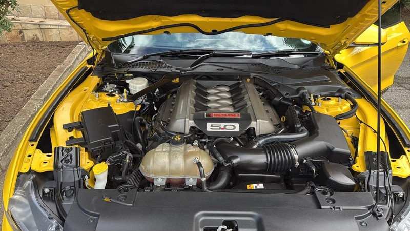 Ford Mustang - Mit Mak Motors - Image 2