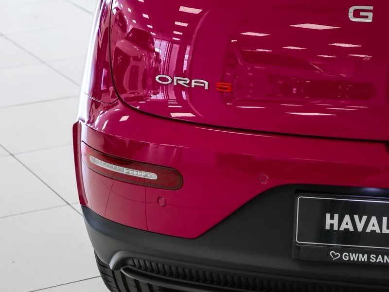 GWM ORA - GWM Haval Sandton - Image 20