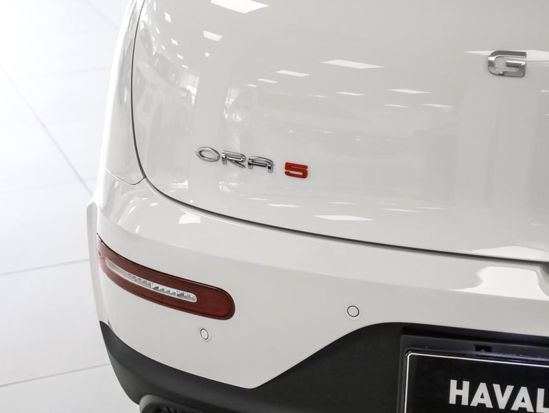GWM ORA - GWM Haval Sandton - Image 25