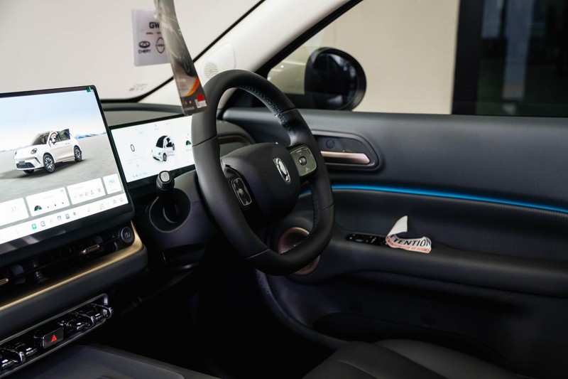 GWM ORA - GWM Haval Bruma - Image 5